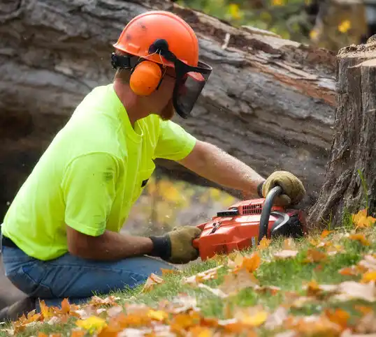 tree services South Henderson